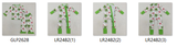 RTS kids matching clothing bows print clothing girl christmas winter clothing-2025.8.14
