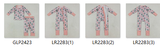 RTS kids matching clothing tree print clothing girl Christmas clothing-2025.7.3