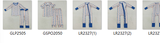 RTS kids matching clothing blue florals print clothing girl winter clothing-2025.7.22