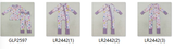 RTS kids matching clothing pumpkin print clothing girl winter clothing-2025.8.16